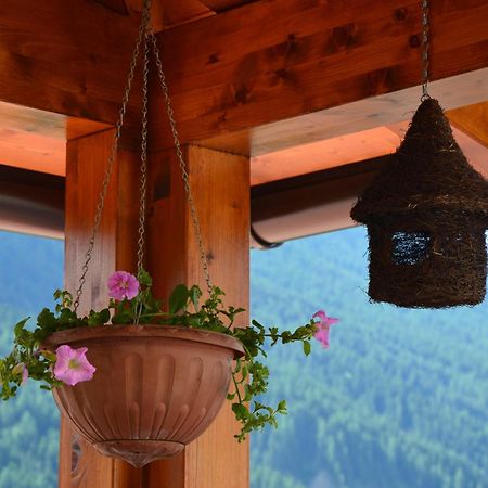 Hotel Garni Carpe Diem Віго-ді-Фасса Номер фото